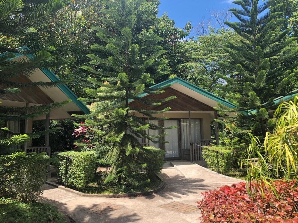 Ted's Bed and Breakfast
