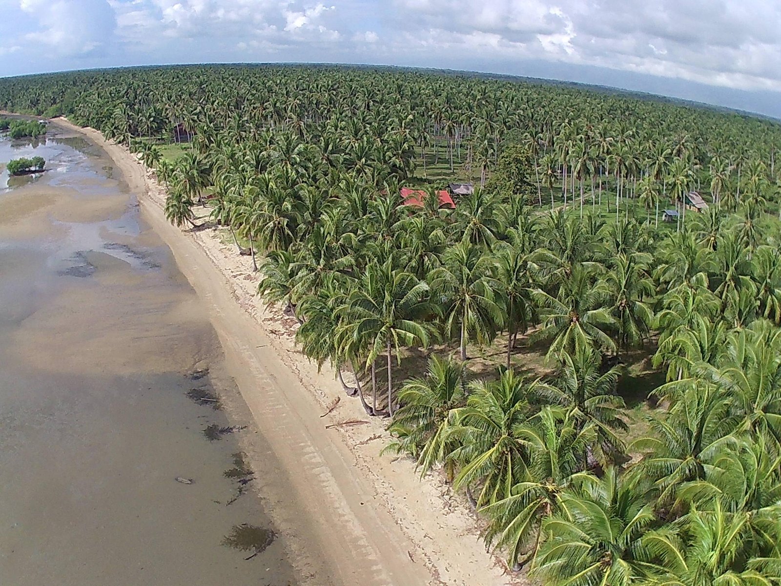 la caballa beach resort bar & grill