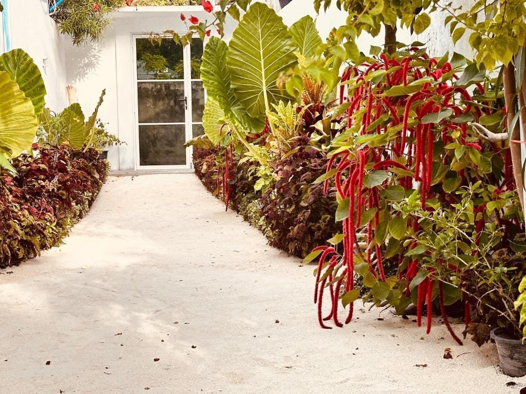 Boli Villa Thoddoo