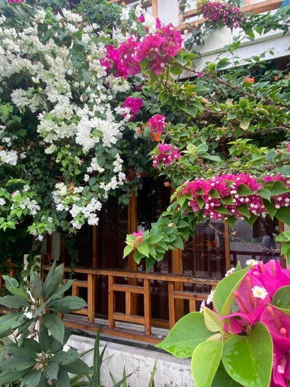 Bougainvillea Inn - Maldives