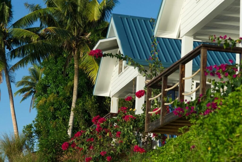 Bougainvillea Savusavu