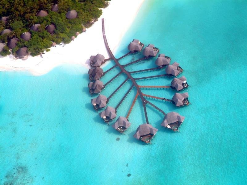 Coco Palm Dhuni Kolhu, Maldives