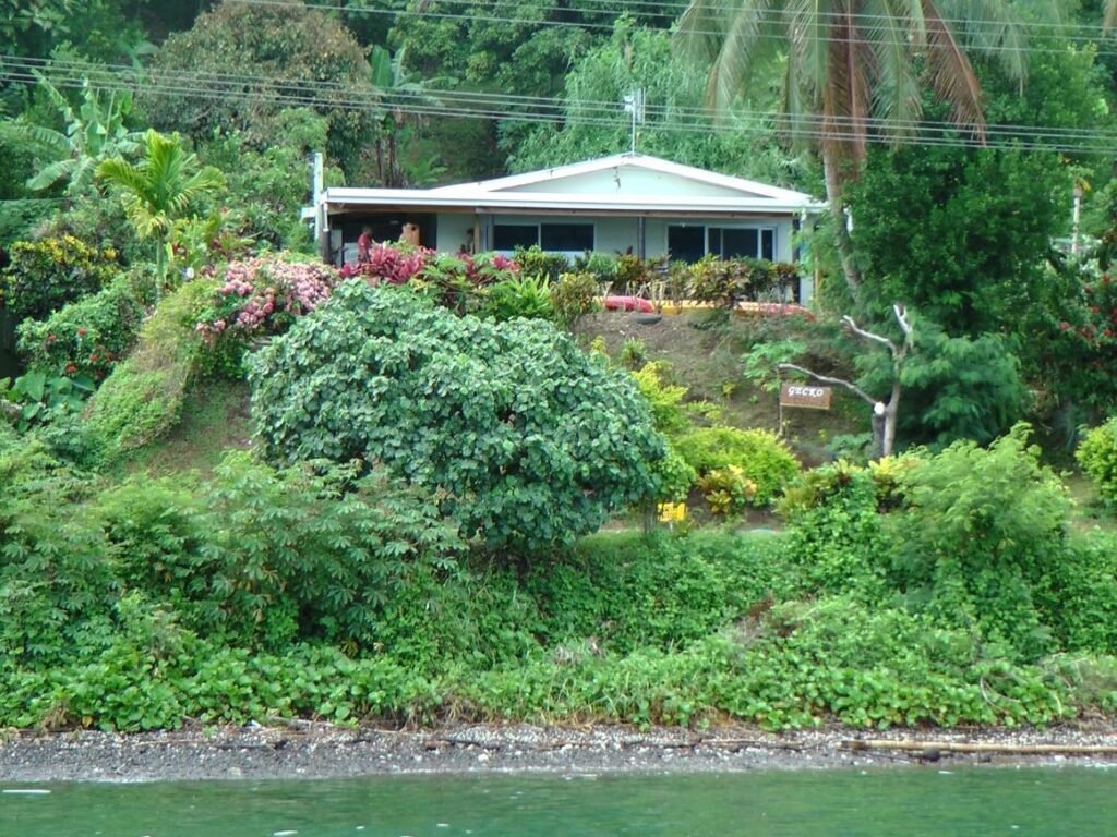Gecko Lodge Fiji