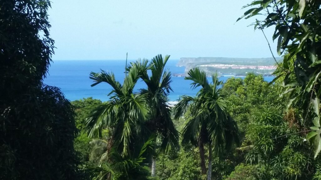 Hidden GEM Best View of the Island/Close to Navy