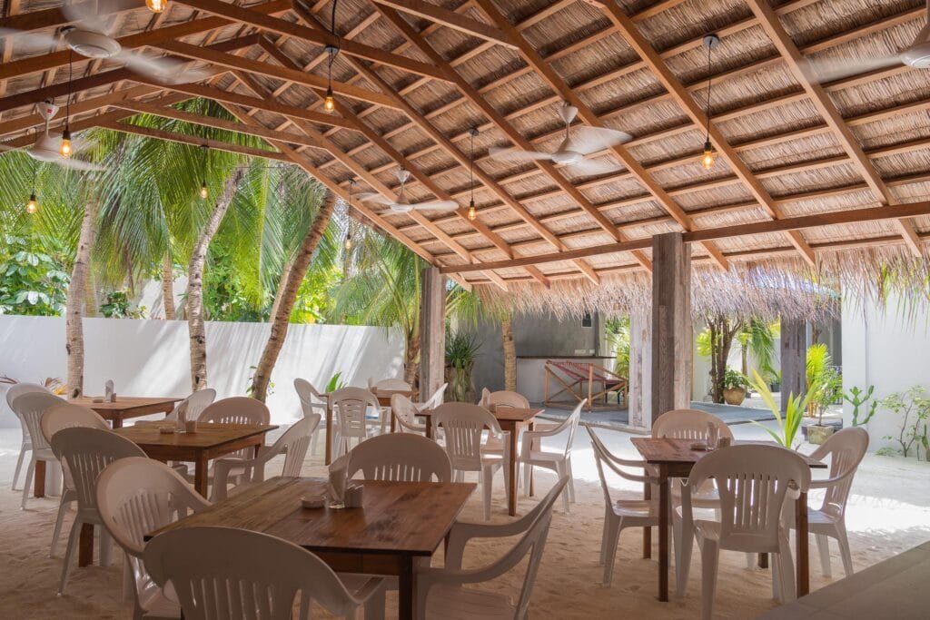 The Palm Ray Rasdhoo