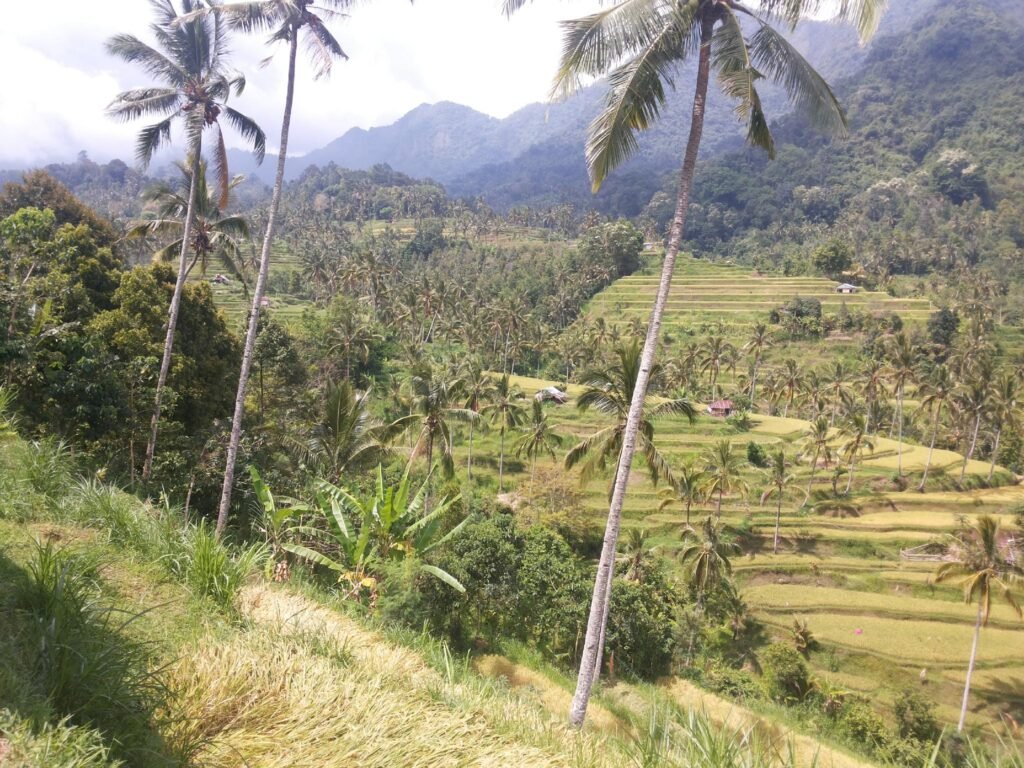 ESA di Kubu Homestay