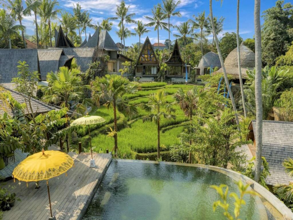 Ethnic 1 BR Villa With Plunge Pool #V20
