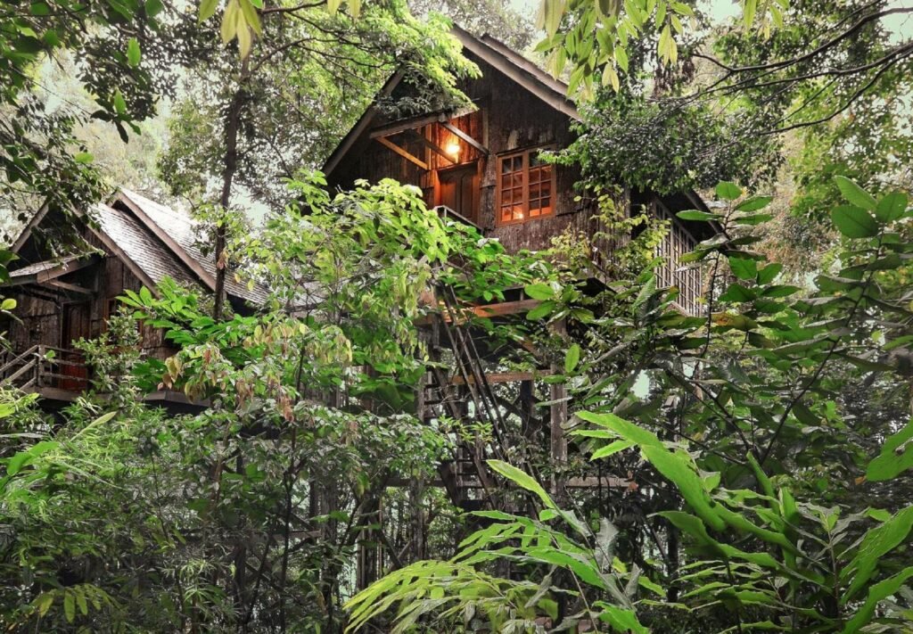 Permai Rainforest Resort