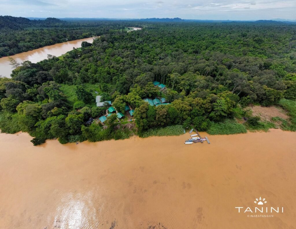 Tanini Kinabatangan