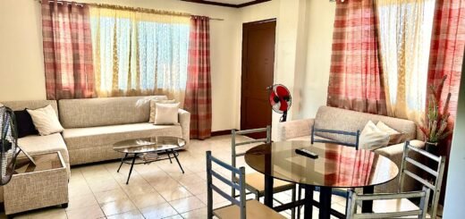 2 BR apartment near CONVENTION Center #1