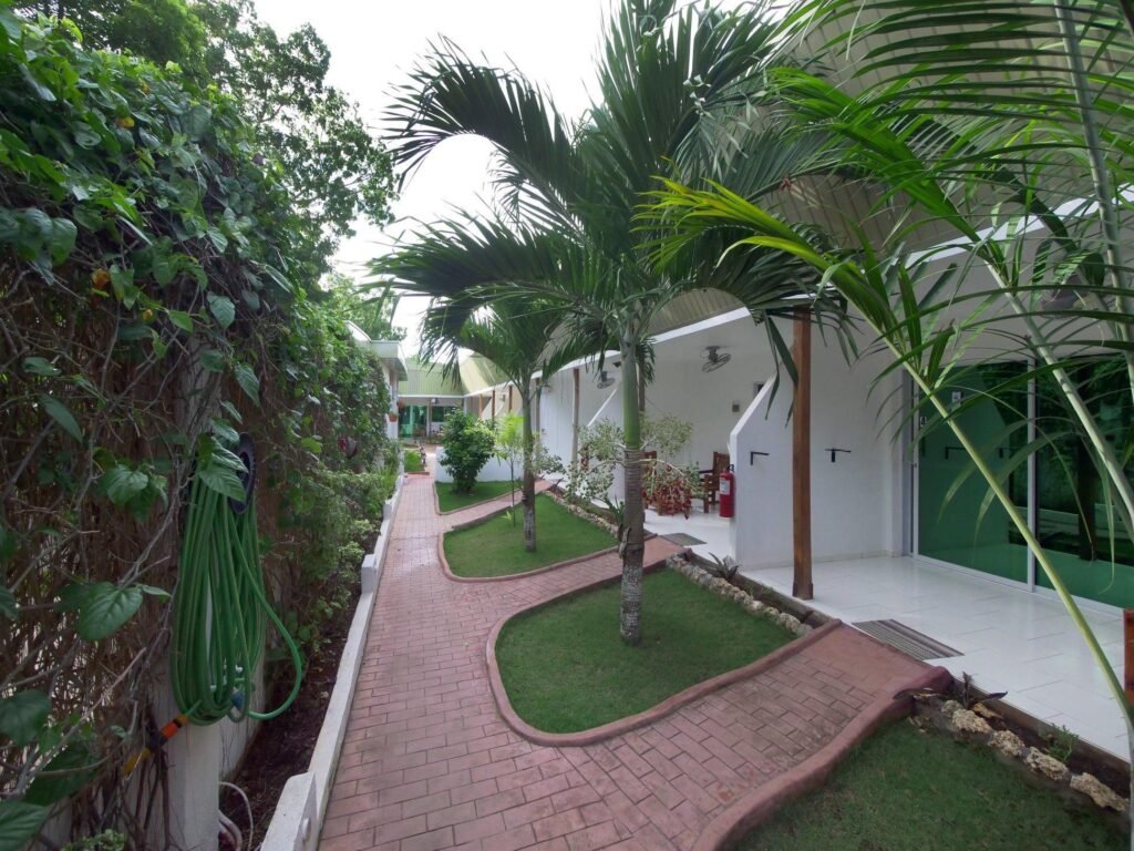 Alona Gecko Inn