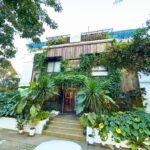 Cabins by Eco Hotels