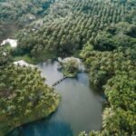 Caliraya Ecoville Recreation Farm & Resort