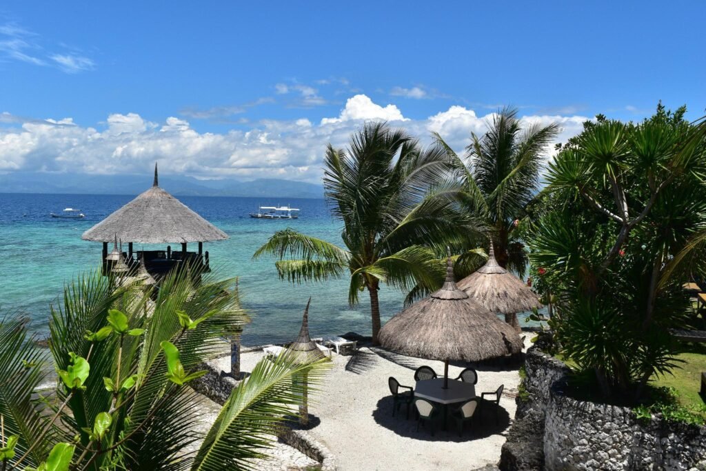 Dolphin House Resort Spa Diving
