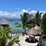 Dolphin House Resort Spa Diving