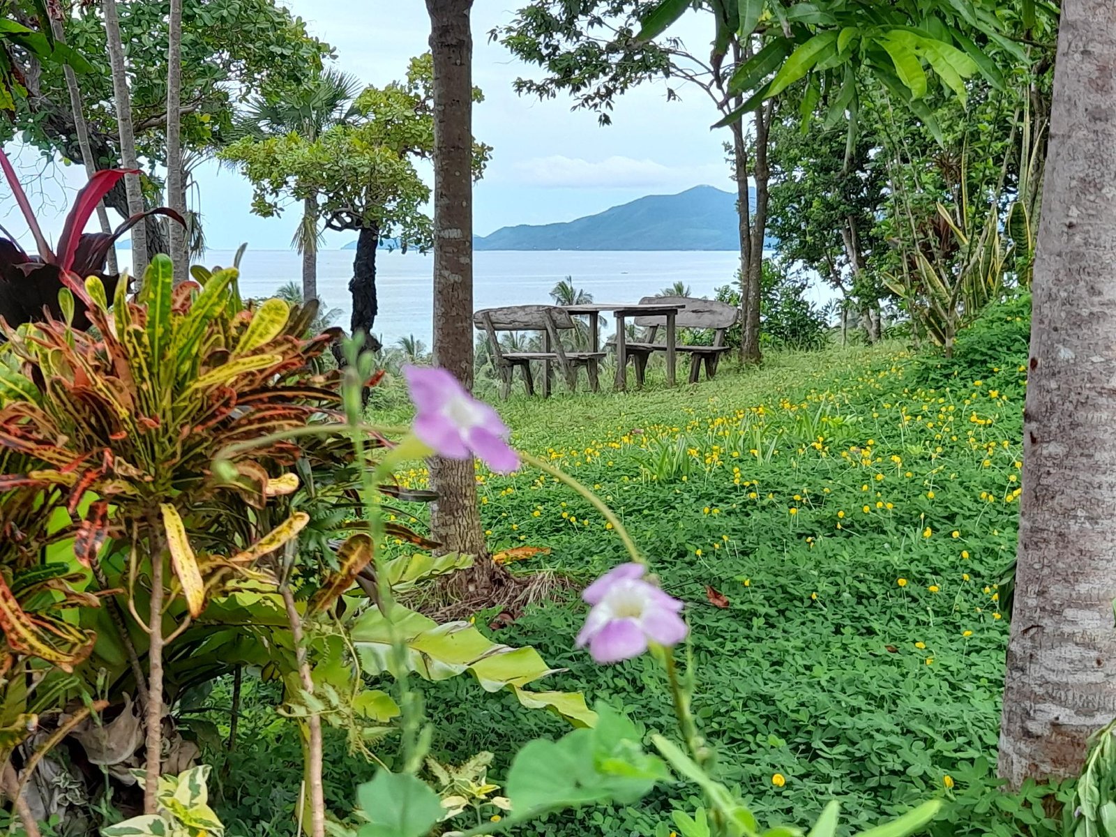 Erlittop Nature Lodge