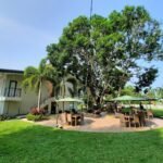 Estancia De Lorenzo Tarlac