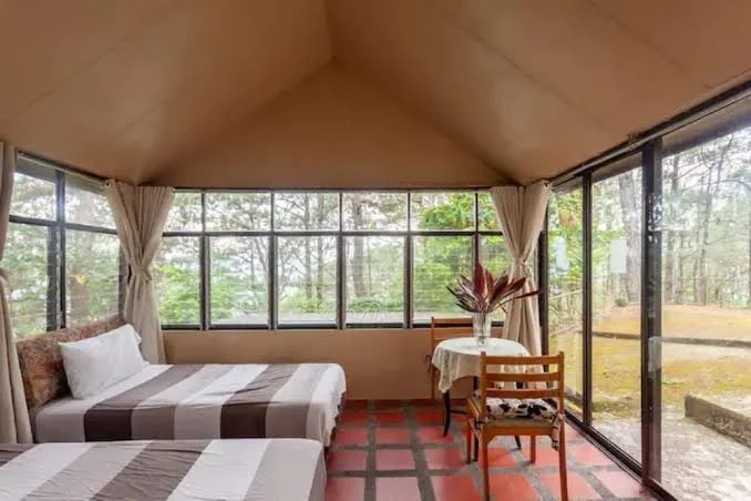 Family Cottage Under Pine Trees Mountain Views Baguio Philippines Reviews and Travel Guide