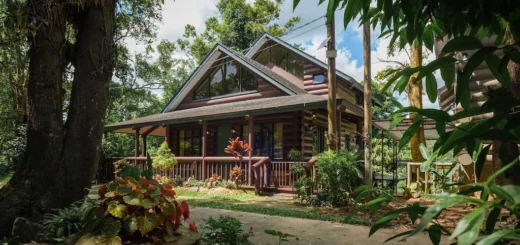 Forest Cabins at Woodsborough
