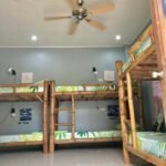 Lionfish Backpackers Malapascua