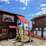 MDF Beach Resort and Day Tours near Whalesharks