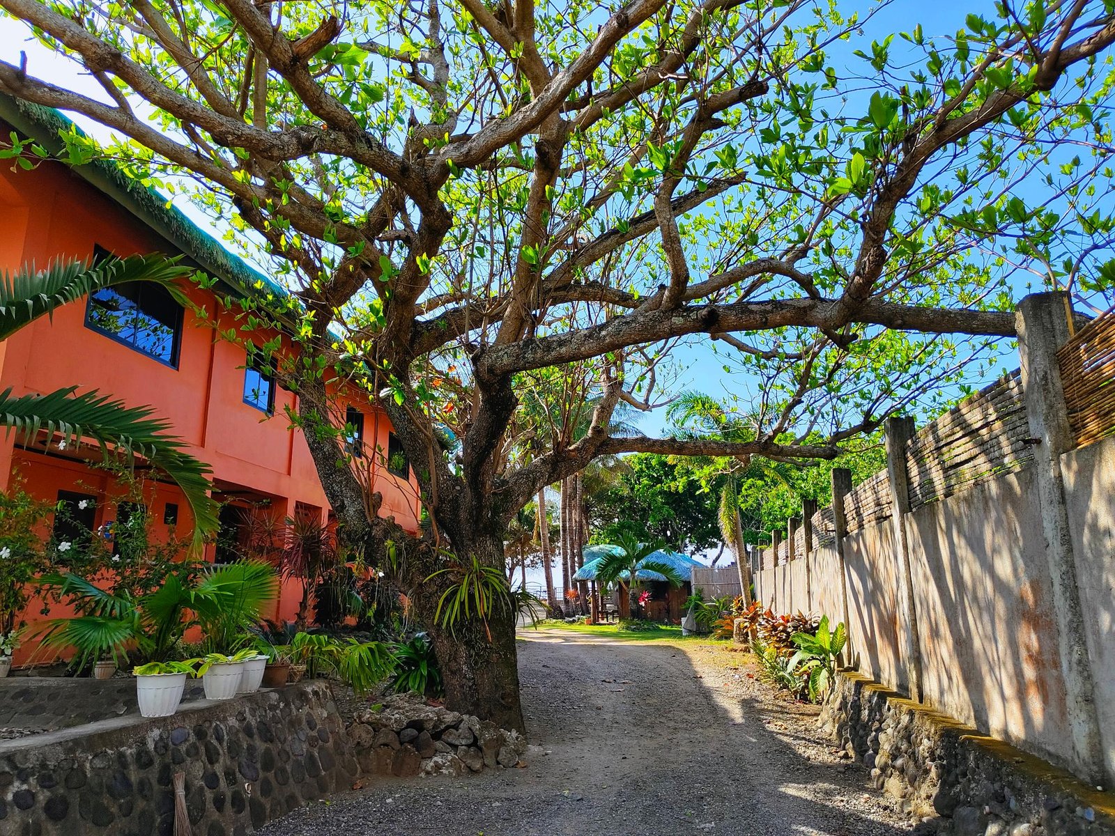 Natsuca Beach Resort