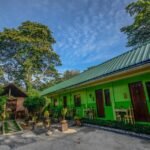 OYO 622 Butterfly Totem Guesthouse