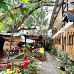 The Lazy Dog Bed & Breakfast