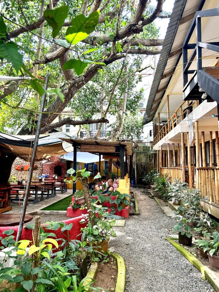 The Lazy Dog Bed & Breakfast