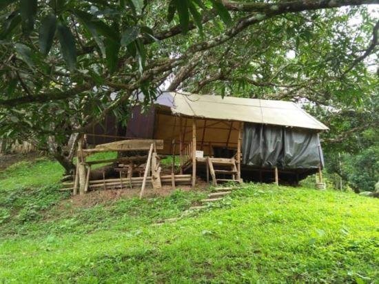Cebu Hostel and Glamping, Cebu, Philippines
