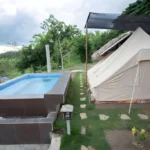 Luxury glamping tents nestled under large green acacia trees at The Acacia Glamping Park in Carmen, Bohol, Philippines.