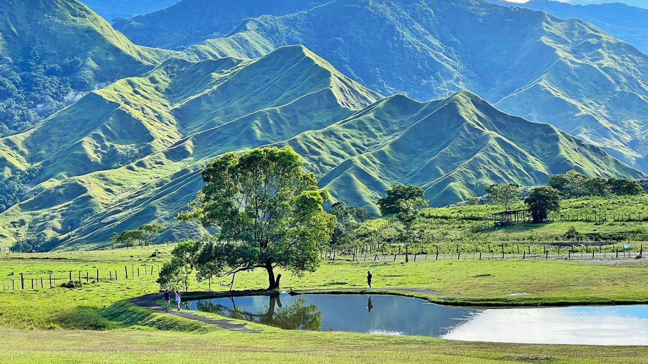 Buffalo Dreams and Golden Skies: Why Communal Ranch Should Be Your Next Escape